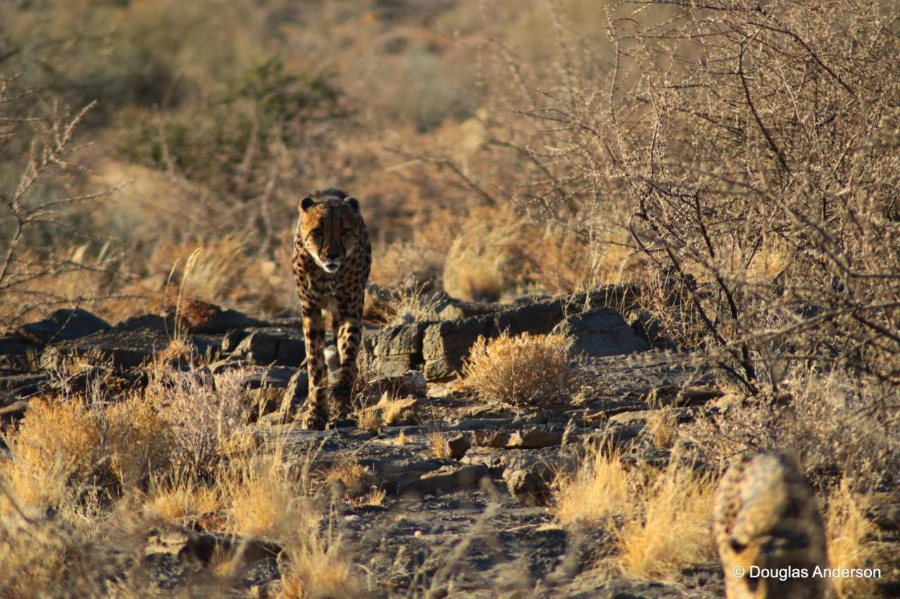 Hotel Neuras Wine And Wildlife Estate à Namib-Naukluft National Park Extérieur photo